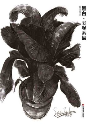 cover image of 黑白·表现素描：静远作品